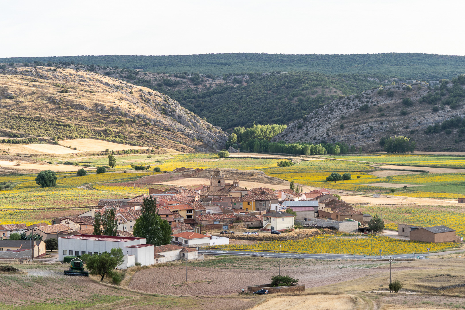 Israel Luri Terres